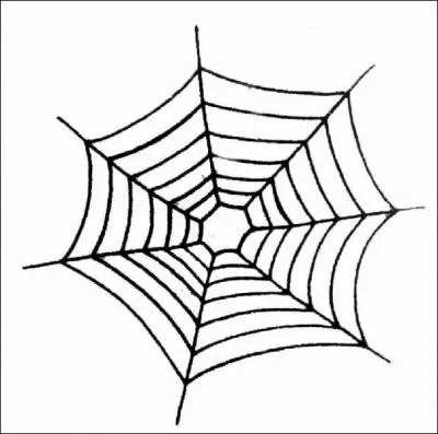 On peut y parler d'araigne :