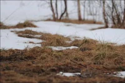 Ecarquillez vos mirettes et trouvez la belle mordore !