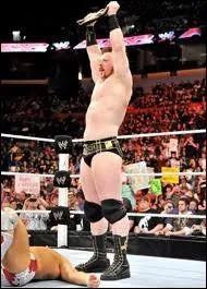Sheamus a eu quels titre(s) et récompense(s) à la WWE ?