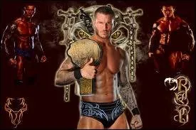 Randy Orton a eu quels titre(s) et rcompense(s)  la WWE ?