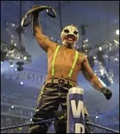 Rey Mysterio a eu quels titre(s) et rcompense(s)  la WWE ?