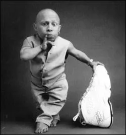 Quel rle joue Verne Troyer dans la saga Harry Potter ?