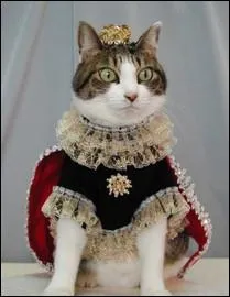 Le royaume des chats ! Symbole de la royaut, cette fleur est comestible :