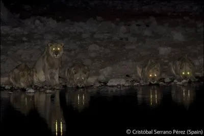 D'aprs vous, et en regardant cette photo prise de nuit, sur quel continent tes-vous ?