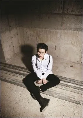 Qui est le chanteur principal ?