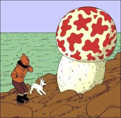 Comment le mtal de l'arolithe de l'toile mystrieuse a-t-il t nomm ?