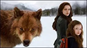 [Twilight 5] En quelle saison se droule la bataille ?