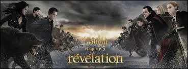 Quel indice vous a permis de rpondre  la question prcdente ?