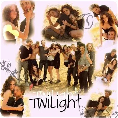 Quel est le titre du dernier tome de Twilight ?