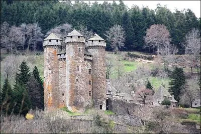 Le village de Tournemire, dominant la valle de la Doire, s'tire en longueur jusqu'au chteau d'Anjony est situ dans :
