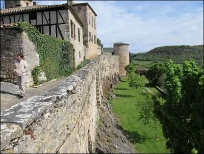 Dans quel dpartement pouvez vous voir le village de Puycelci situ  la lisire de la fort de la Grsigne, dominant la valle de la Vre ?
