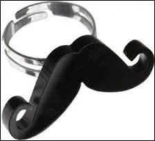 Qui fut surnomm en pleine gloire  La Brigitte Bardot au masculin  par la presse anglo-saxonne ?