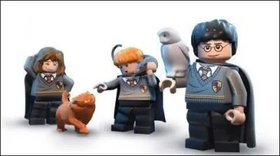 Qui suis-je ( la droite d'Harry) ?