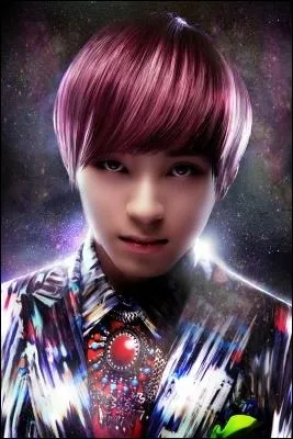 Qui est chanteur, rappeur et est n le 5 juin 1992 ?