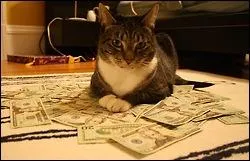 Mais  quel prix ? L'ambre gris est vraiment trs cher. C'est de :