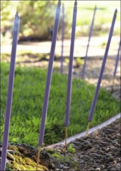 Parmi ces produits, lesquels existent chez Partylite ?