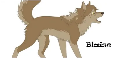 Que signifie le prénom Blaise, d'origine latine ?