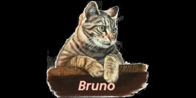 Quand fête-t-on les Bruno ?