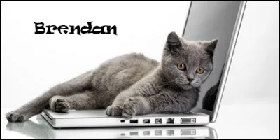 Quelle est la signification de Brendan, prénom que l'on fête le 16 mai ?