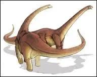 Le dinosaure le plus lourd et le plus grand est :