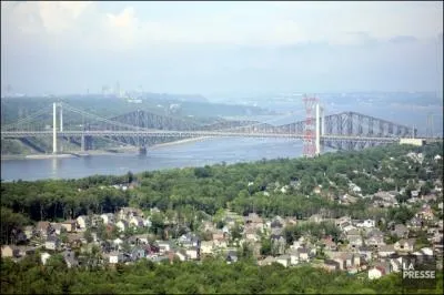 Quelle affirmation  propos de Lvis est errone ?