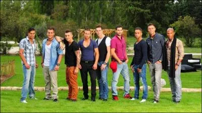 Comment s'appelle le groupe de clibataires au physique ravageur ?