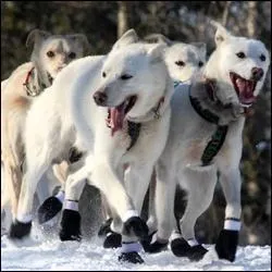Au Qubec, on se sent si belle (si beau)... Ah bon, mais pourquoi donc ?
