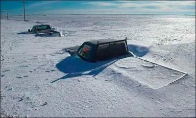 De ces trois fleurs, laquelle pousse gnralement dans la neige ?