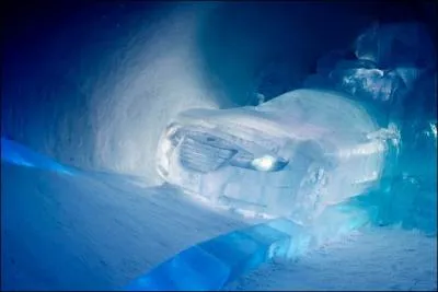 Dans quel pays peut-on voir un serpent voluant dans la neige ?