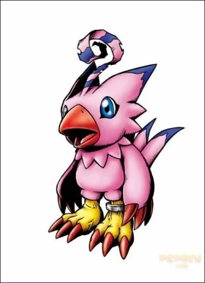 Ouvrez, ouvrez la cage aux oiseaux ! Cette espce trs rare de canari ros se trouve au nord-ouest du Pakistan et est galement un ...