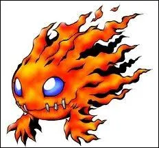 A dfaut de fter Nol dignement, on pourra toujours faire un petit barbecue cet t : une boule de feu vient me rendre visite  moins que ce soit un ...