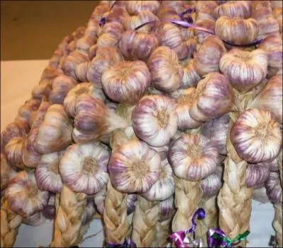 En France quelle est la capitale de l'ail violet ?