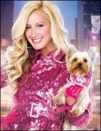 Ce tlfilm est un spin-off de la saga High School Musical. Il est recentr sur le personnage de la peste de service qui va  New York pour devenir une star. Quel est son titre ?