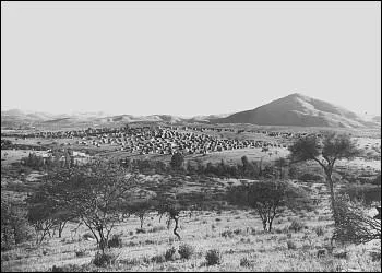 En 1915, une nation s'empare du Sud-Ouest africain, encore sous le contrle de l'Allemagne. Laquelle ?