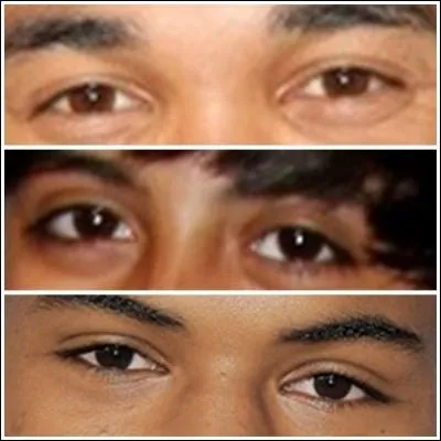 Quels sont les yeux de Roshon Fegan ?