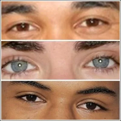 Quels sont les yeux de Trevor Jackson ?
