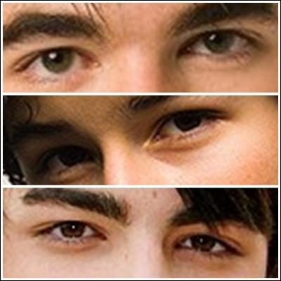 Quels sont les yeux de Joe Jonas ?