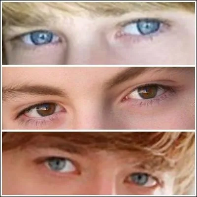 Quels sont les yeux de Jason Dolley ?