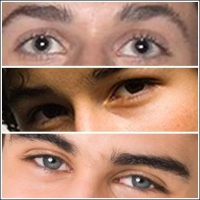 Quels sont les yeux de David Henrie ?