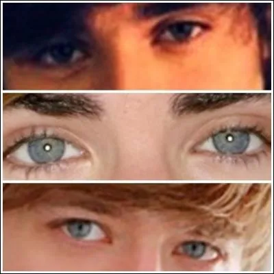 Quels sont les yeux de Zac Efron ?