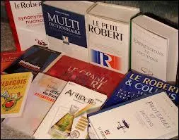 En 2008 s'est tenu  Qubec la journe qubcoise des dictionnaires. Qu'en pensez-vous ?