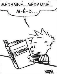 Pour rester dans la ligne de la question prcdente : Il existe un livre sur les dictionnaires qubcois de la Nouvelle-France  aujourd'hui. C'est ?