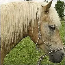 En concours, il faut emporter imprativement :