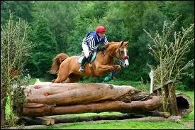Qu'est-ce qui est obligatoire en cross ?