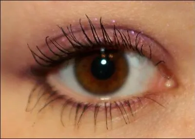 Comment s'appelle la femme que Terra rencontre lorsqu'il perd la mmoire ?