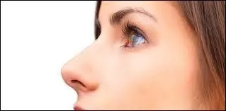 Quel est le vritable sentiment qui lie Terra et Galahad ?