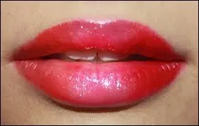 Comment s'appellent les enfants d'Amy et Terra ?