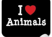 Quiz Les animaux marins