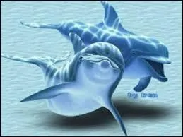 Quel est cet animal ?