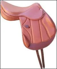 C'est une selle de quoi ?